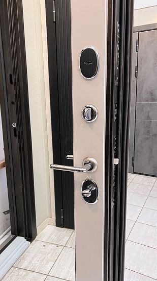 Входная дверь  