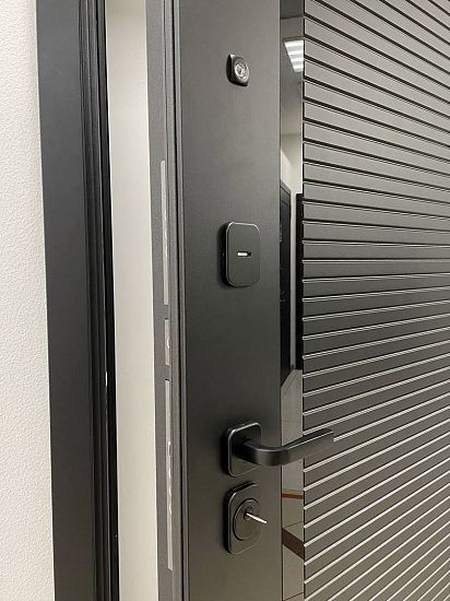 Входная дверь  